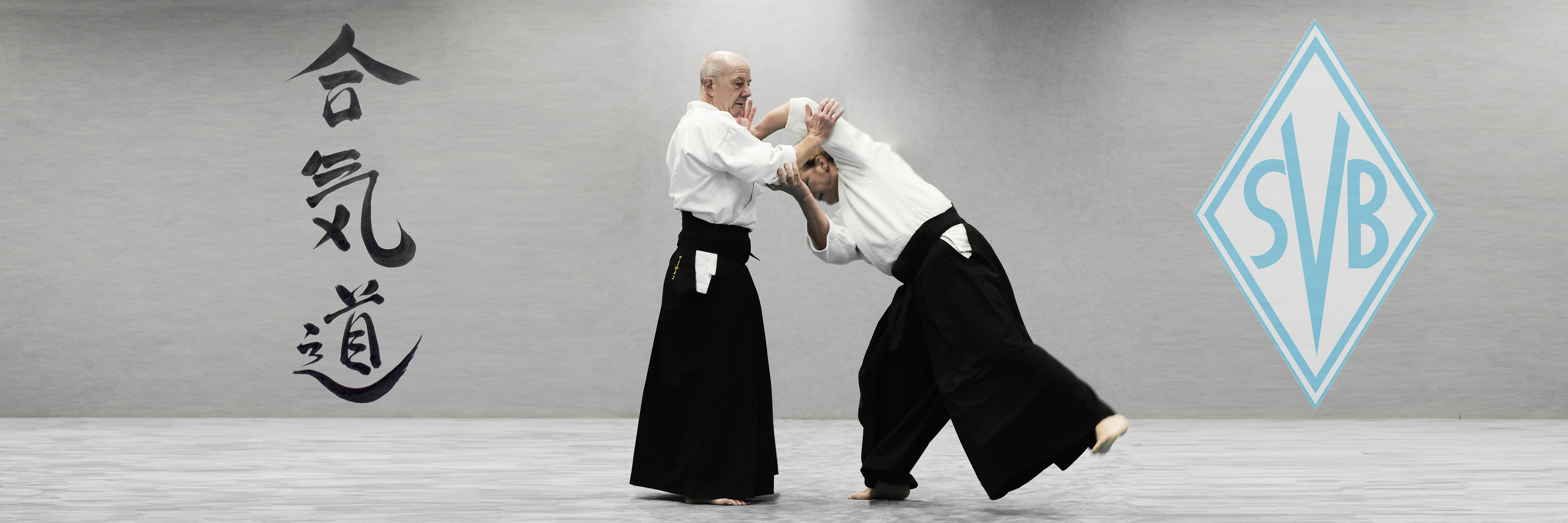 SVB Aikido